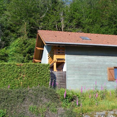 Le Chalet Saint-Nabord ภายนอก รูปภาพ