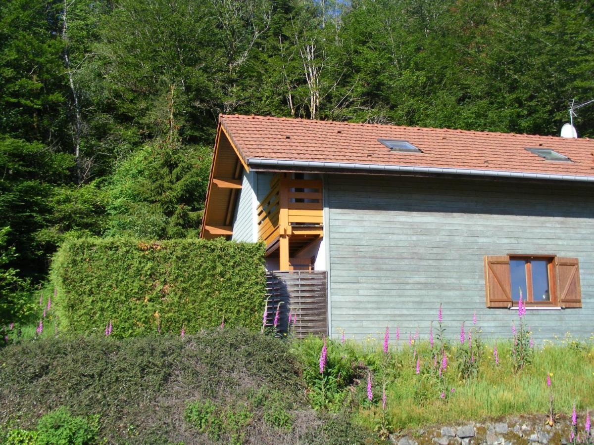 Le Chalet Saint-Nabord ภายนอก รูปภาพ